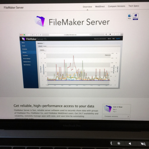 FileMaker Server - shared access on the internet